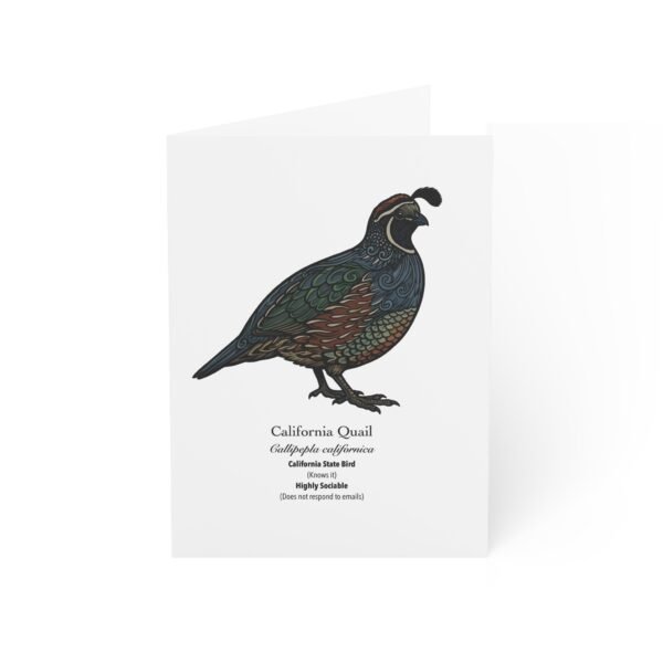 California Quail - Illustrated Greeting Cards (Pack of 10)