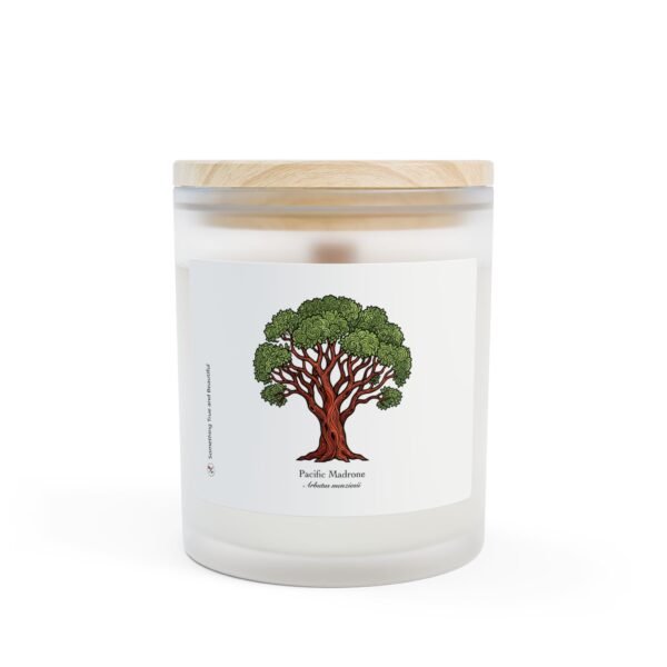 Pacific Madrone - Frosted Glass Candle
