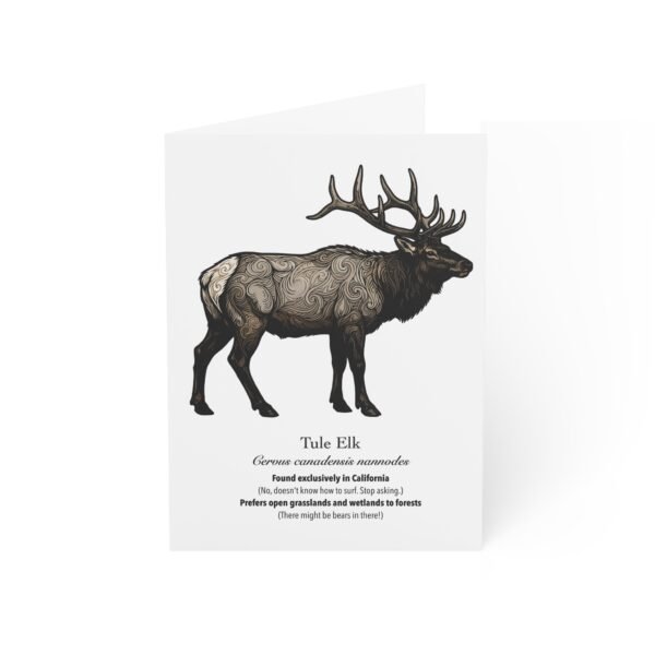 Tule Elk - Illustrated Greeting Cards (Pack of 10)