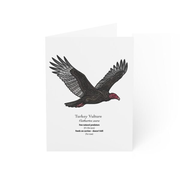 Turkey Vulture - Illustrated Greeting Cards (Pack of 10)
