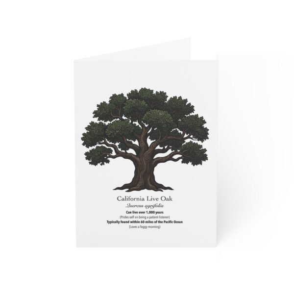 California Live Oak - Illustrated Greeting Cards (Pack of 10)