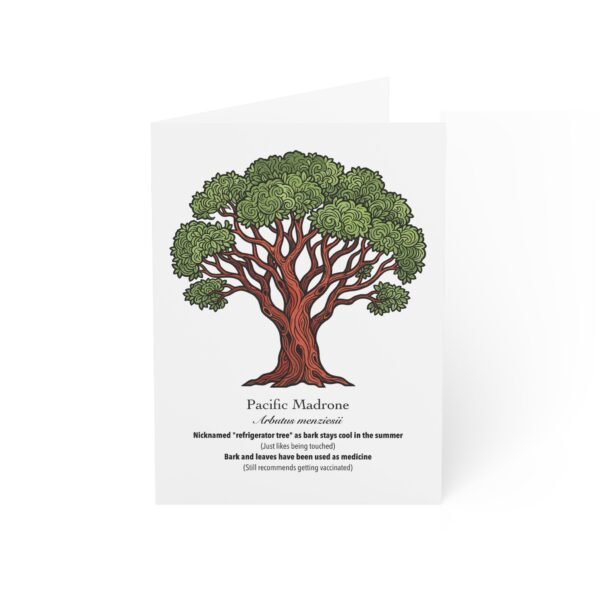 Pacific Madrone - Illustrated Greeting Cards (Pack of 10)