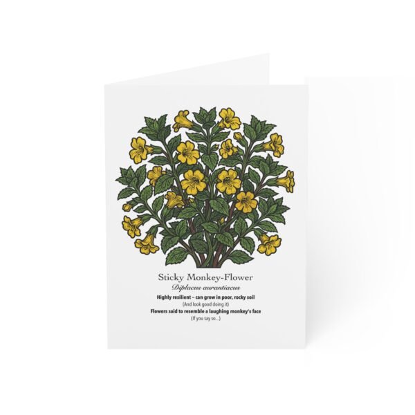 Sticky Monkey Flower - Illustrated Greeting Cards (Pack of 10)