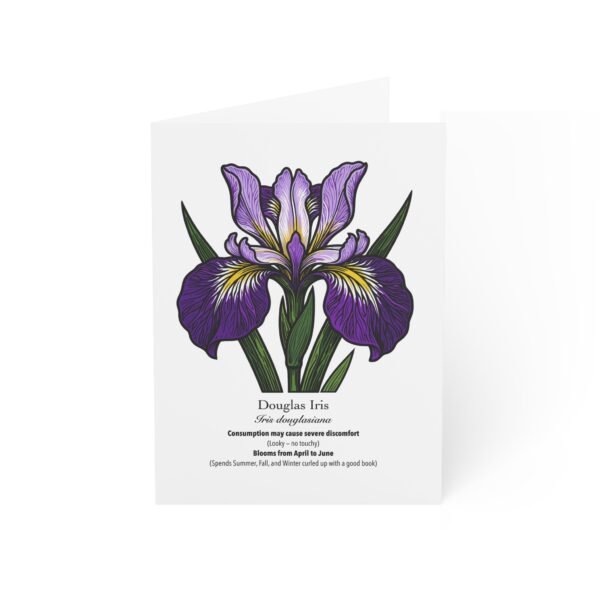 Douglas Iris - Illustrated Greeting Cards (Pack of 10)