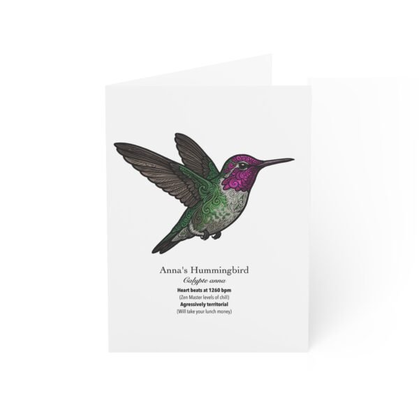 Anna's Hummingbird - Illustrated Greeting Cards (Pack of 10)