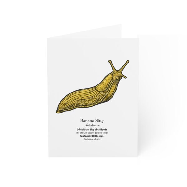Banana Slug - Illustrated Greeting Cards (Pack of 10)
