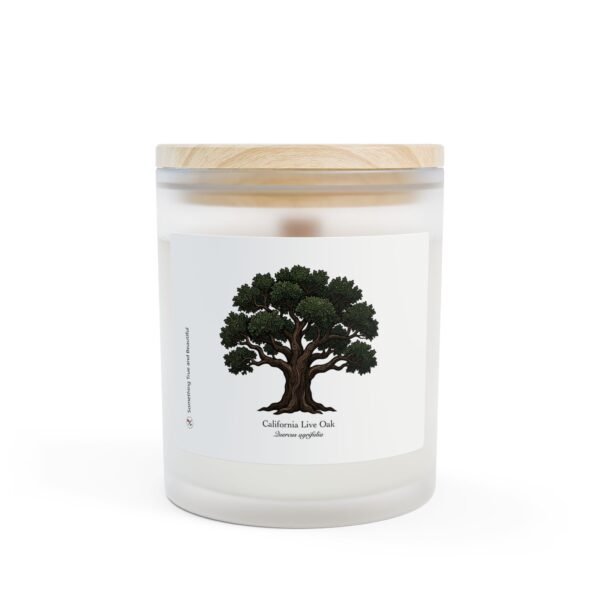 California Live Oak - Frosted Glass Candle